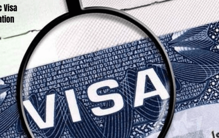 Pilot Program for Domestic Visa Renewals