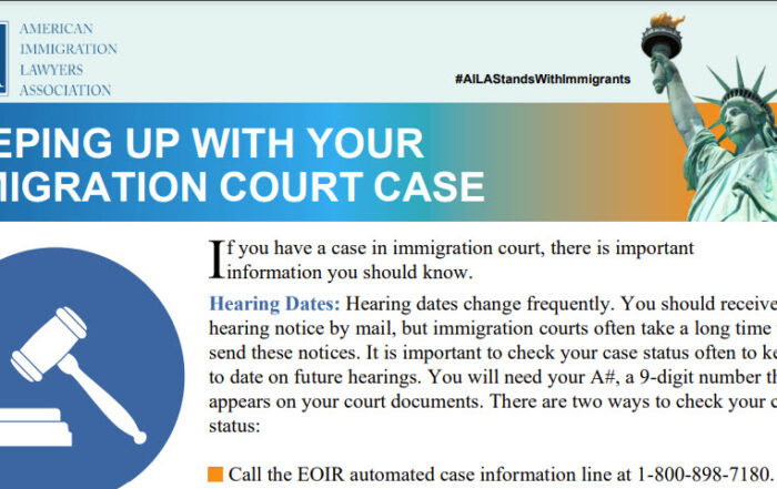 IMMIGRATION COURT CASE
