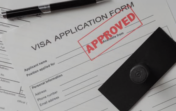 What Is the Approval Rate for I-751?